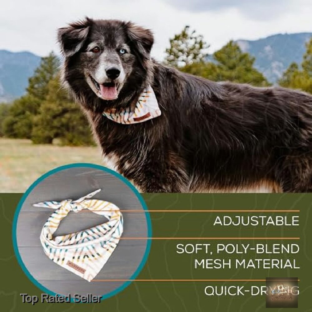 Lightweight Quick Drying Poly-Blend Mesh Dog Band… - image 5